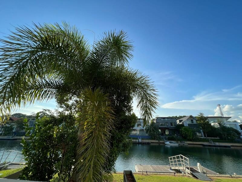 Pearl Island — photo 12