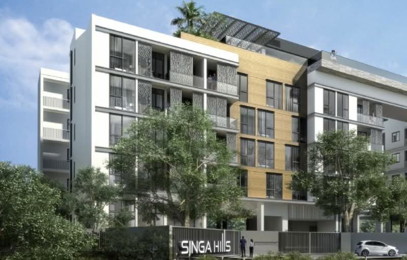 Singa Hills — photo 7