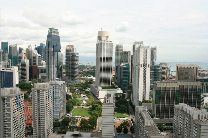 Pinnacle @ Duxton — photo 8