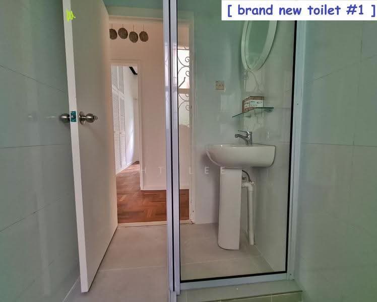 Holland Grove Henry Park Mt Sinai Dover MRT — photo 8