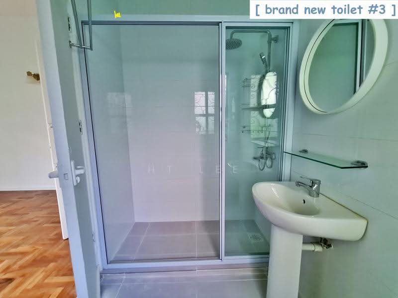 Holland Grove Henry Park Mt Sinai Dover MRT — photo 13