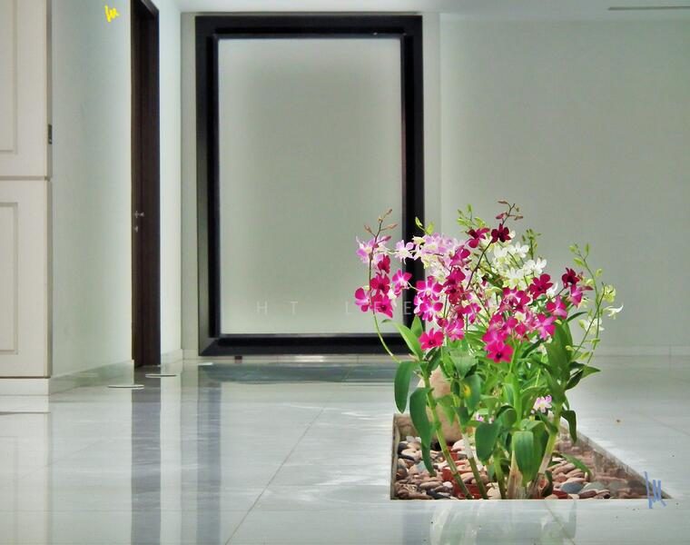The Atrium House of Bukit Timah. Full of Natural Light!Professional Cinema Room — photo 5