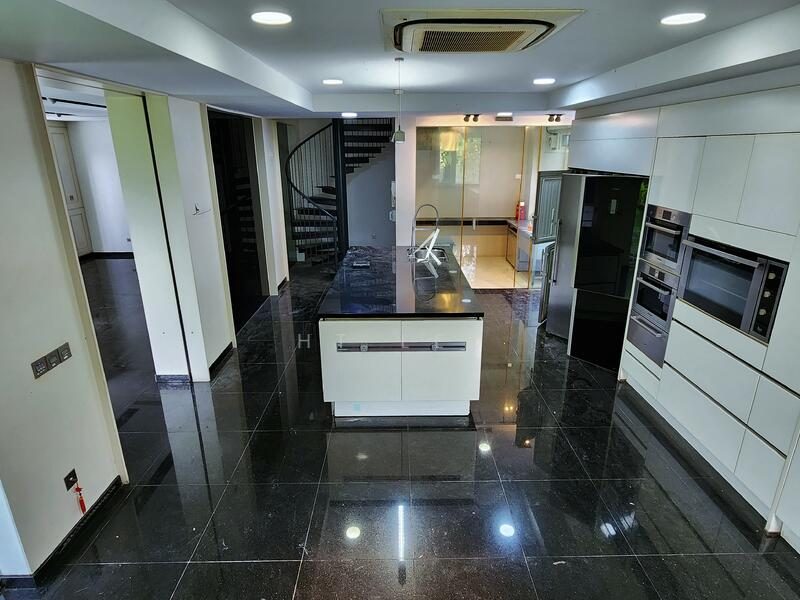 The Atrium House of Bukit Timah. Full of Natural Light!Professional Cinema Room — photo 8