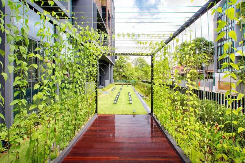 The Asana — photo 19