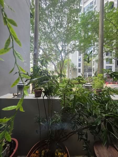 The Bayshore — photo 8