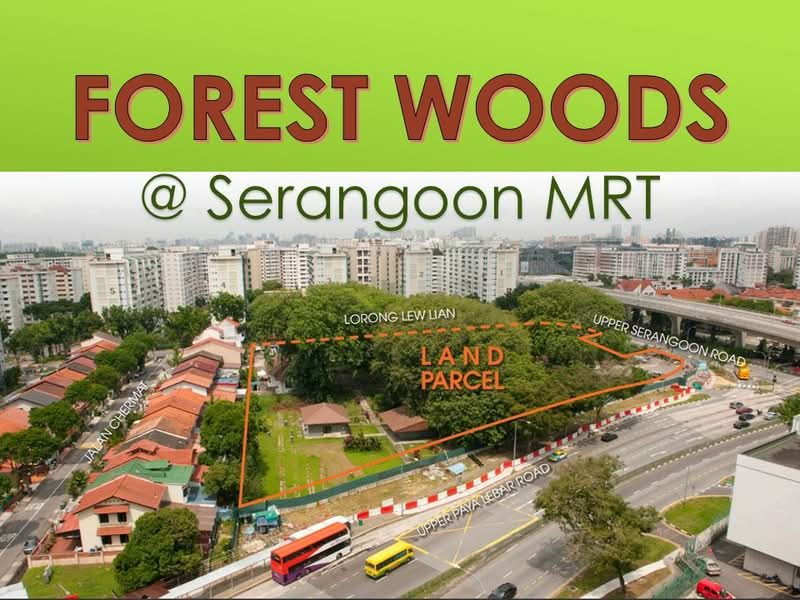 Forest Woods — photo 9