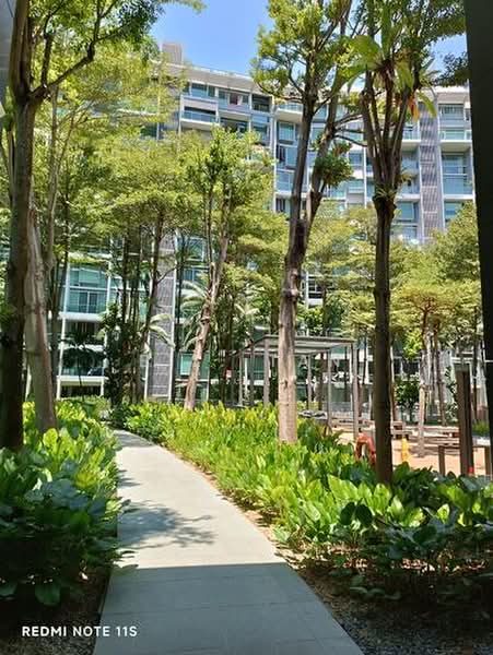 Botannia — photo 13