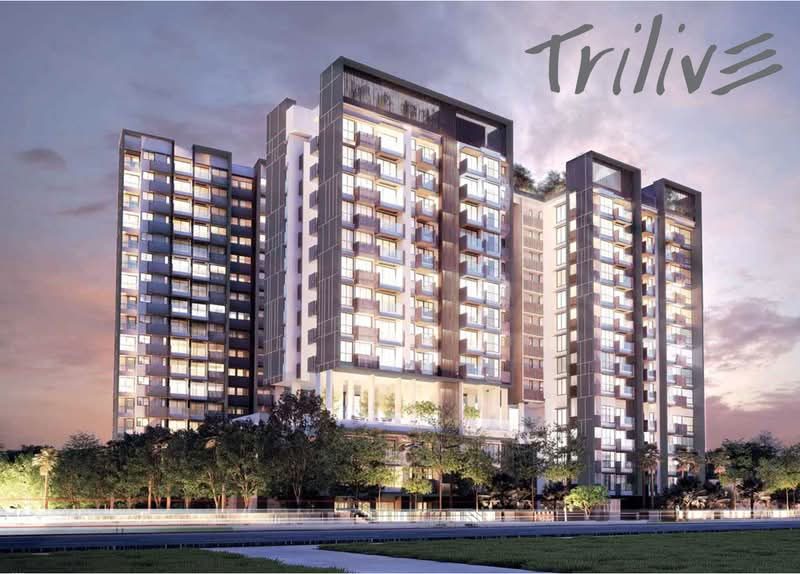 Trilive — photo 12