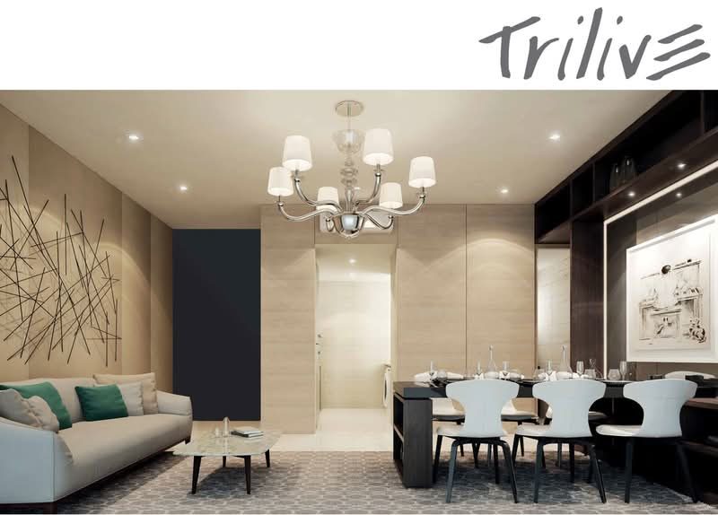 Trilive — photo 13