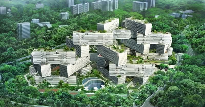 The Interlace — photo 10