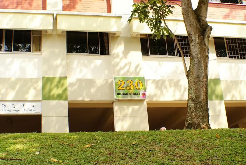 230 Bishan Street 23 — photo 17