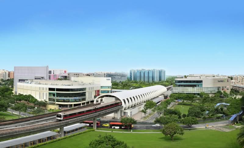 The Tampines Trilliant — photo 24
