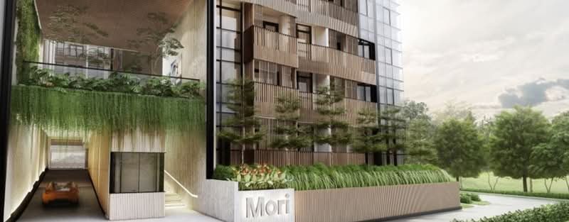Mori — photo 9