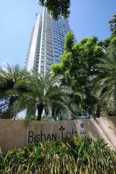 Bishan Loft — photo 13
