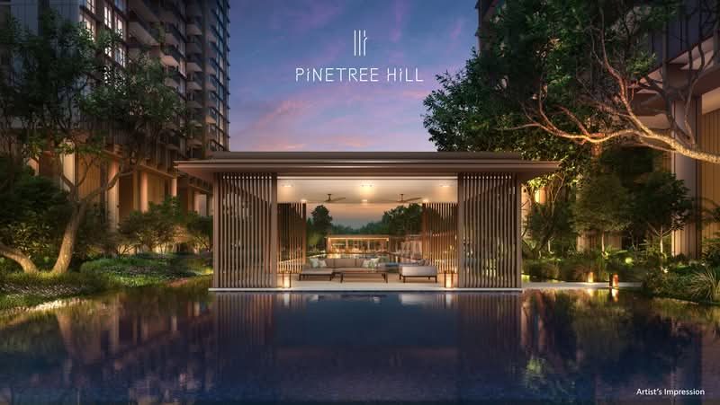 Pinetree Hill — photo 11