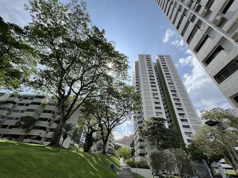 Braddell View — photo 11