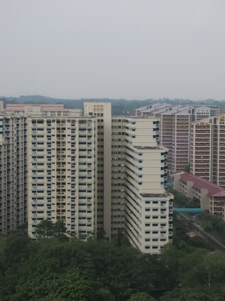 501 Jelapang Road — photo 12