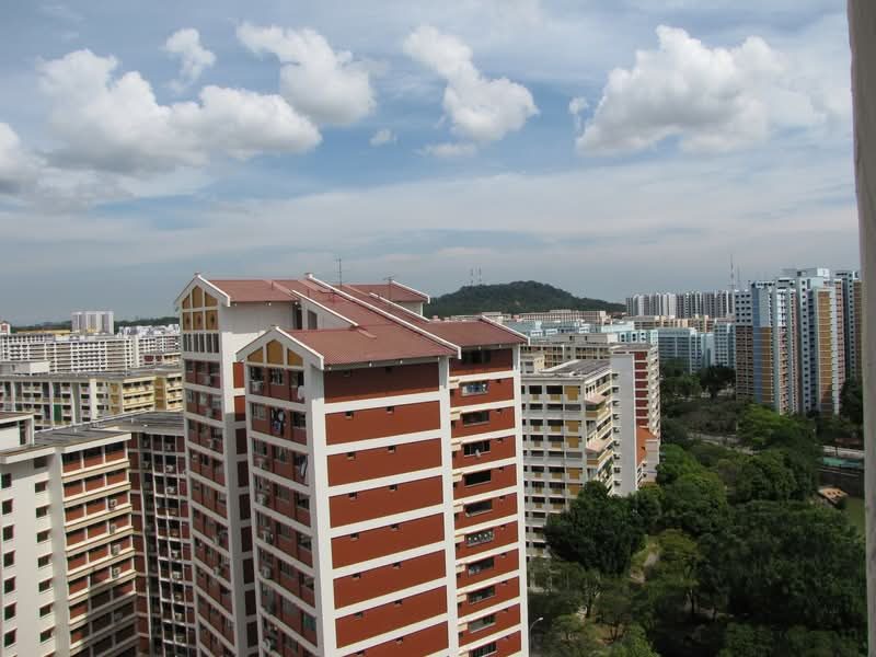 501 Jelapang Road — photo 14