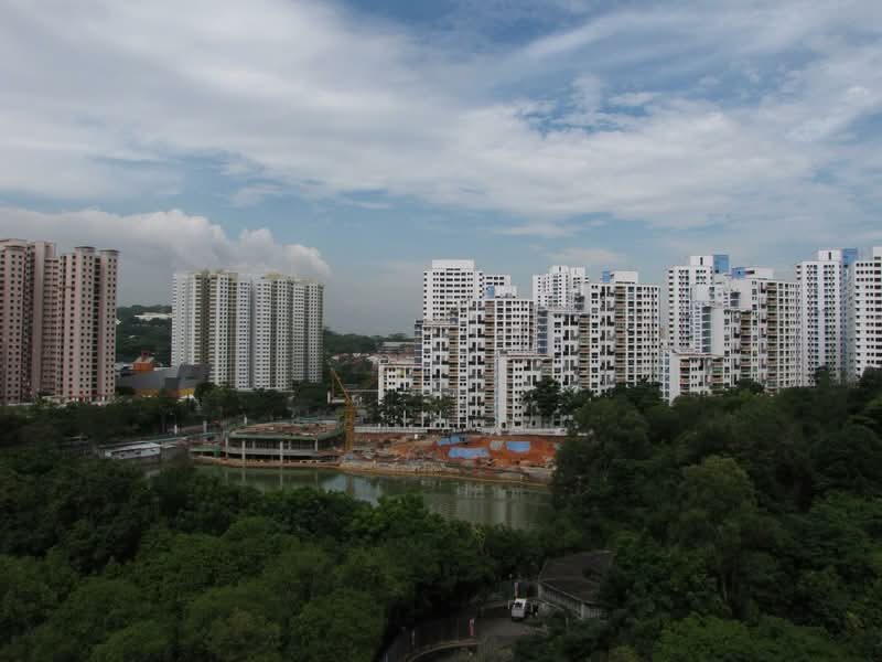 501 Jelapang Road — photo 44