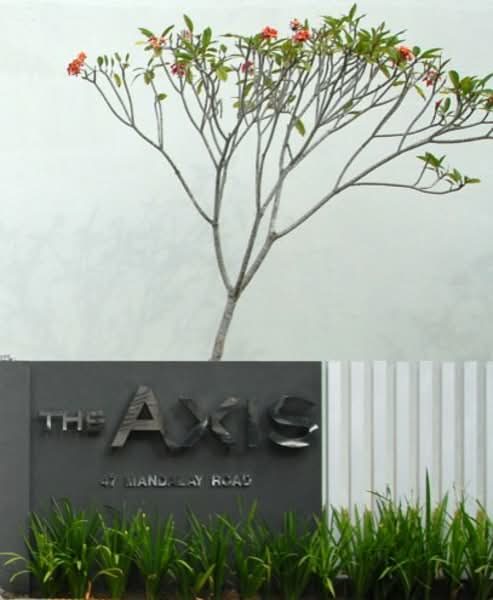 The Axis — photo 9