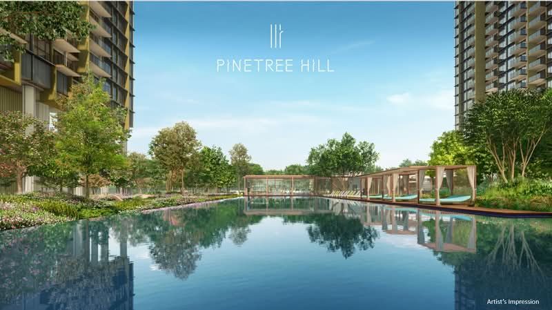 Pinetree Hill — photo 8