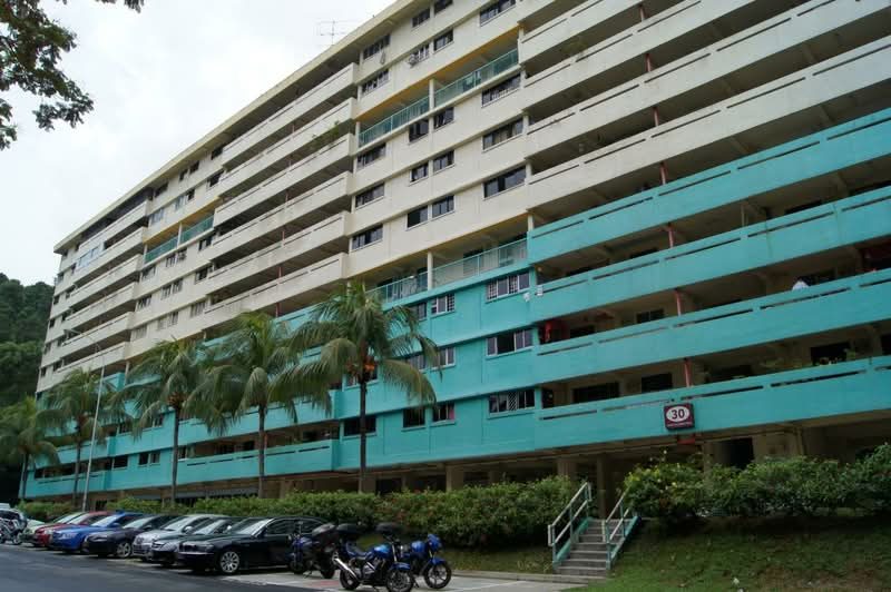 30 Telok Blangah Rise — photo 15