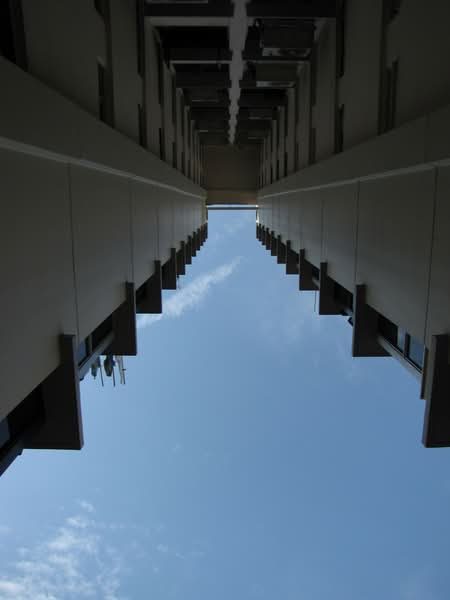 8 Marine Terrace — photo 8