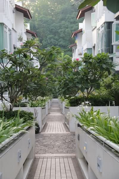 Binjai Crest — photo 17